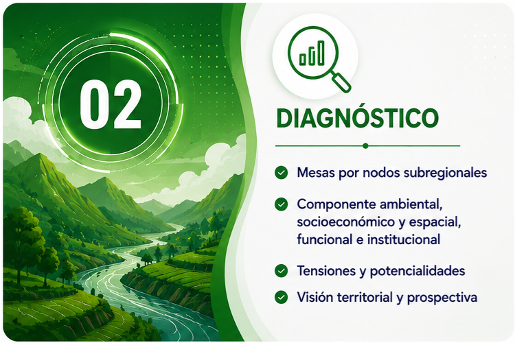 Fase 2. Diagnóstico